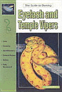 The Guide to Owning Eyelash and Temple Vipers