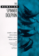 The Hawaiian spinner dolphin