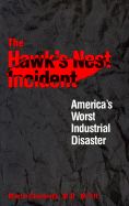 The Hawk's Nest Incident: Americas Worst Industrial Disaster