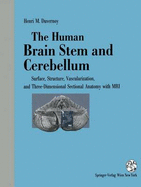The Human Brain Stem and Cerebellum: Surface, Structure ...