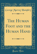 The Human Foot and the Human Hand (Classic Reprint)