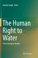 The Human Right to Water: From Concept to Reality