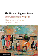 The Human Right to Water: Theory, Practice and Prospects