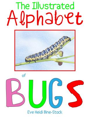 The Illustrated Alphabet of Bugs - Bine-Stock, Eve Heidi