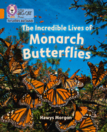 The Incredible Lives of Monarch Butterflies: Band 06/Orange