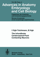 The Infundibular Cerebrospinal-Fluid Contacting Neurons - Vigh-Teichmann, I, and Vigh, B