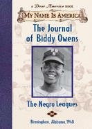 The Journal of Biddy Owens: The Negro Leagues