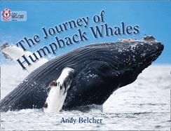 The Journey of Humpback Whales: Band 07/Turquoise