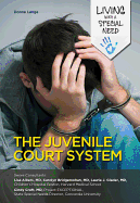 The Juvenile Court System