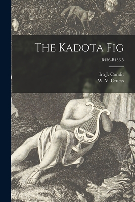 The Kadota Fig; B436-B436.5 - Condit, Ira J (Ira Judson) B 1883 (Creator), and Cruess, W V (William Vere) 1886-19 (Creator)