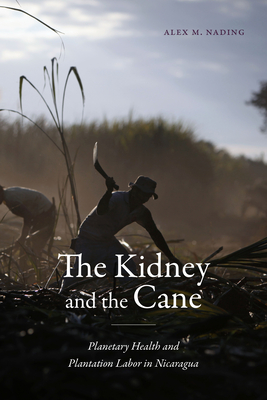 The Kidney and the Cane: Planetary Health and Plantation Labor in Nicaragua - Nading, Alex M