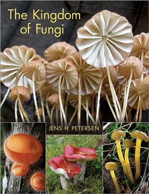 The Kingdom of Fungi - Petersen, Jens Henrik
