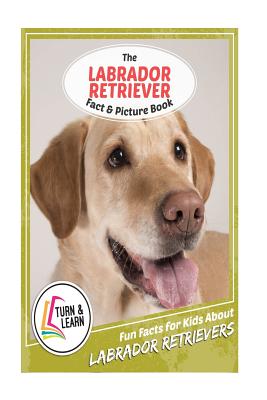 The Labrador Retriever Fact and Picture Book: Fun Facts for Kids about Labrador Retriever - McIntyre, Gina