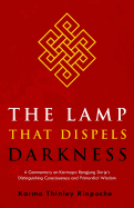 The Lamp That Dispels Darkness: A Commentary on Karmapa Rangjung Dorje's 'distinguishing Consciousness and Primordial Wisdom'