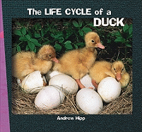 The Life Cycle of a Duck