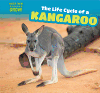 The Life Cycle of a Kangaroo