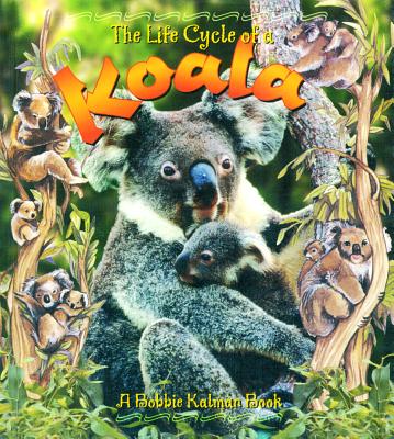 The Life Cycle of a Koala - Levigne, Heather, and Kalman, Bobbie