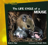 The Life Cycle of a Mouse - Hipp, Andrew