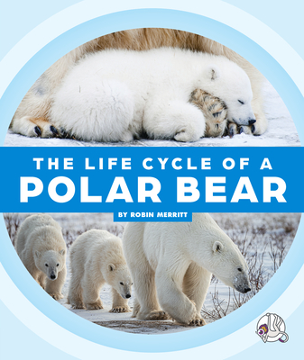 The Life Cycle of a Polar Bear - Merritt, Robin