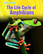 The Life Cycle of Amphibians