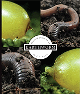 The Life Cycle of an Earthworm