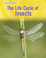 The Life Cycle of Insects