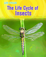 The Life Cycle of Insects