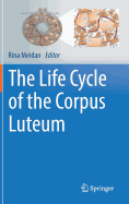 The Life Cycle of the Corpus Luteum