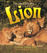 The Life Cycle of the Lion