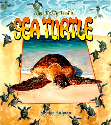The Life Cycle of the Sea Turtle - Kalman, Bobbie