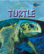 The Life Of A Turtle - Fridell, Ron, and Walsh, Patricia