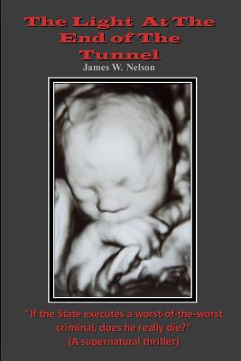 The Light at the End of the Tunnel: One Theory of Reincarnation - Nelson, James W