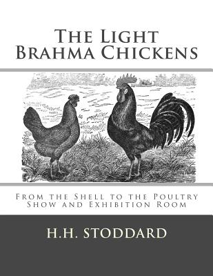 The Light Brahma Chickens (The Light Brahma Fowls): From the Shell to the Poultry Show and Exhibition Room - Chambers, Jackson (Introduction by), and Stoddard, H H