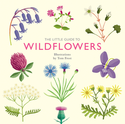 The Little Guide to Wildflowers - Davies, Alison