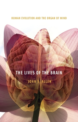 The Lives of the Brain: Human Evolution and the Organ of Mind - Allen, John S.