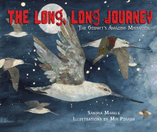 The Long, Long Journey: The Godwit's Amazing Migration