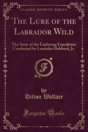 The Lure of the Labrador Wild: The Story of the Exploring Expedition Conducted by Leonidas Hubbard, Jr. (Classic Reprint)
