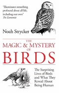 The Magic & Mystery of Birds: The Surprising Lives of Birds and What They Reveal About Being Human