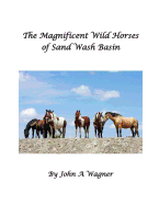 The Magnificent Wild Mustangs Of Sand Wash Basin