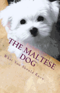 The Maltese Dog: What You Should Know