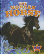 The Morgan Horse