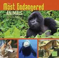 The Most Endangered Animals in the World