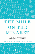 The Mule on the Minaret: A Novel about the Middle East