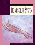 The Muscular System