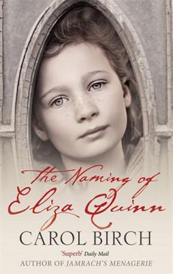 The Naming of Eliza Quinn - Birch, Carol