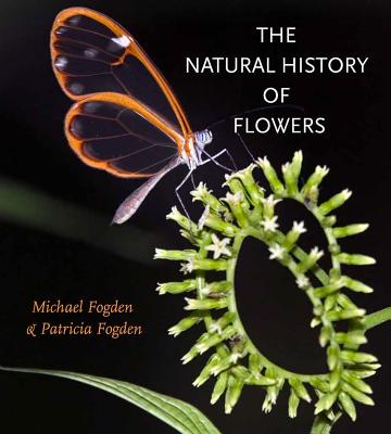 The Natural History of Flowers the Natural History of Flowers - Fogden, Michael, and Fogden, Patricia