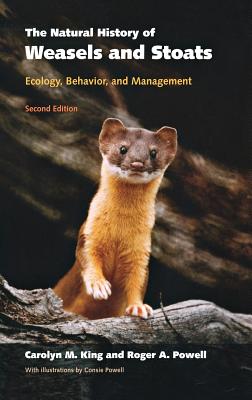 The Natural History of Weasels and Stoats: Ecology, Behavior, and Management - King, Carolyn M, and Powell, Roger a