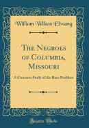 The Negroes of Columbia, Missouri: A Concrete Study of the Race Problem (Classic Reprint)