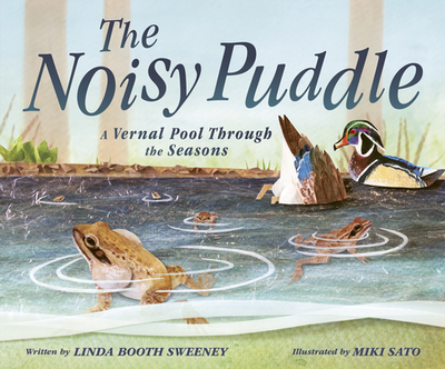 The Noisy Puddle: A Vernal Pool Through the Seasons - Booth Sweeney, Linda