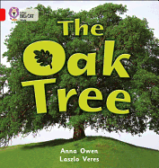 The Oak Tree: Band 02b/Red B